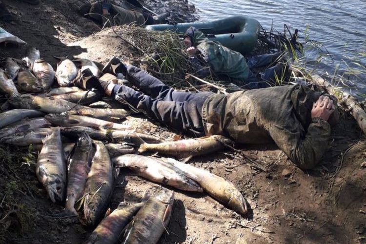 При силовой поддержке ОМОН Росгвардии на Сахалине ликвидирована незаконная деятельность двух рыболовецких станов