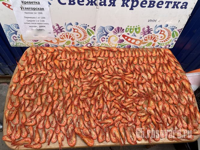 На Сахалине задержана группа лиц, занимающаяся незаконной добычей и  сбытом чилима 
