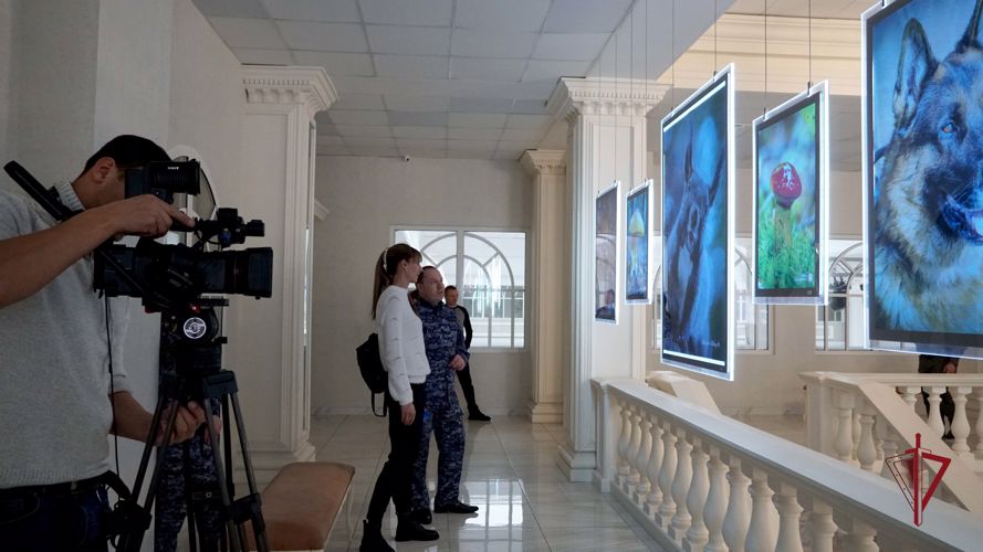 Фотовыставка росгвардейца "Сахалин Алексея Ходюкова" открылась в областной столице
