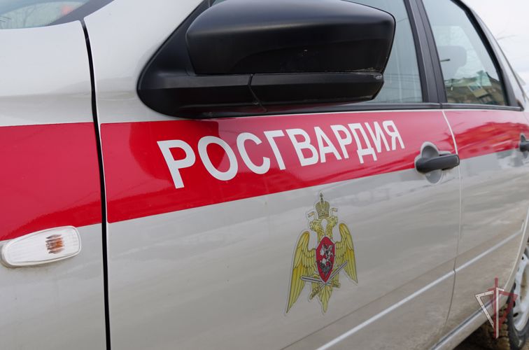  Росгвардейцы задержали мужчину, подозреваемого в совершении преступления