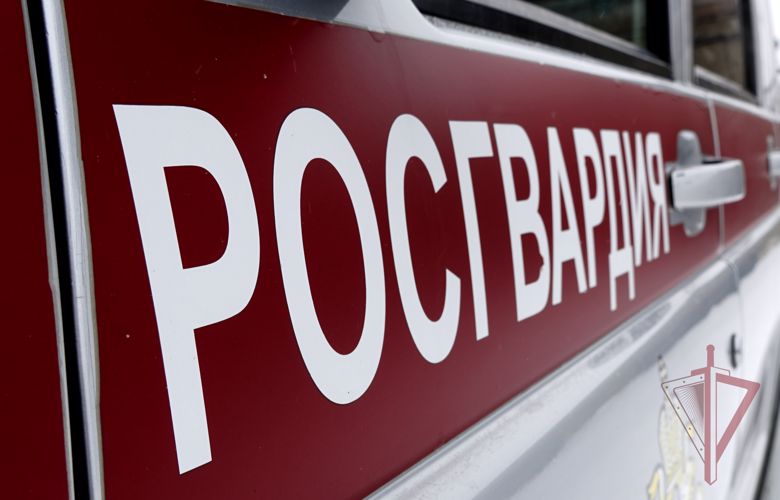 10 правонарушений пресекли росгвардейцы на сахалине 