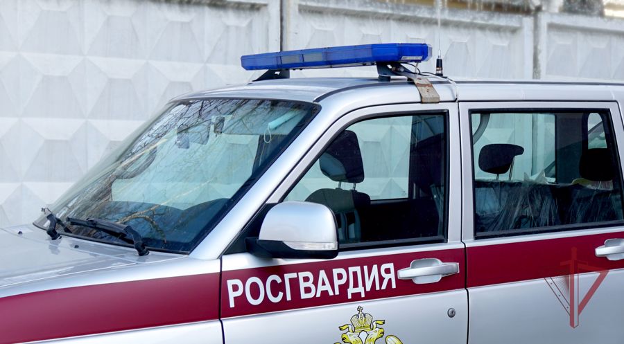 Сотрудники вневедомственной охраны на Сахалине задержали 16 правонарушителей 