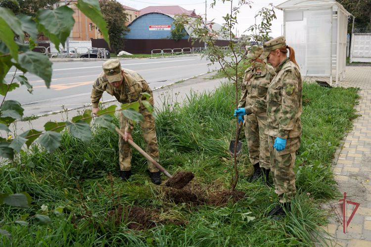 Осенние субботники проходят в Сахалинской области 