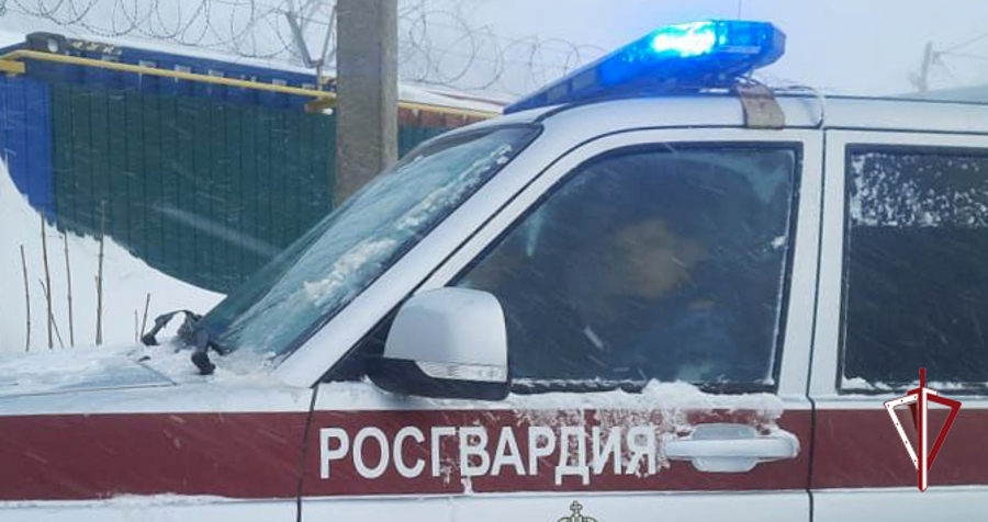12 нарушителей правопорядка задержали сахалинские росгвардейцы