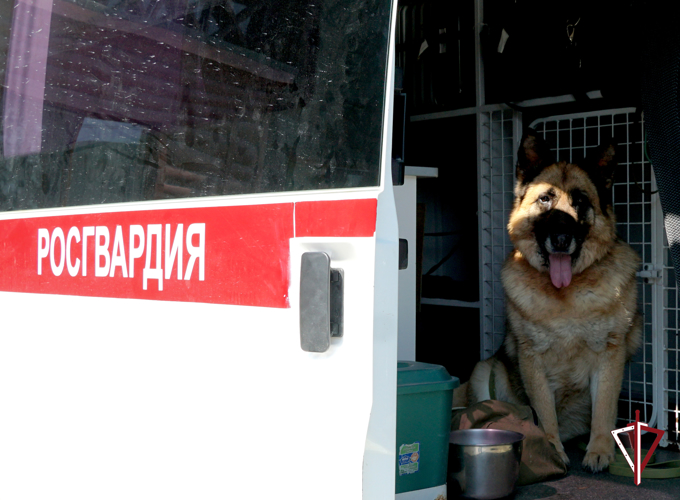 На Сахалине охрану общественного порядка в выходные дни обеспечивали росгвардейцы