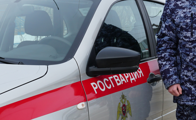 Сводка вневедомственной охраны за неделю