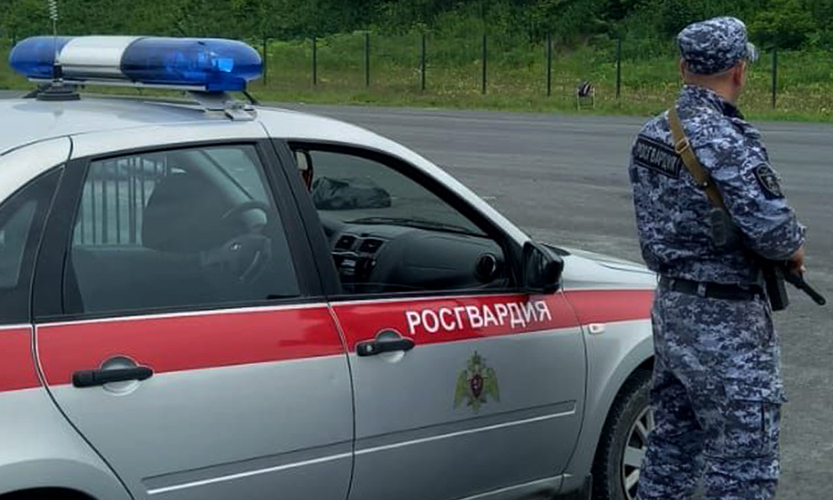 Сводка вневедомственной охраны за неделю