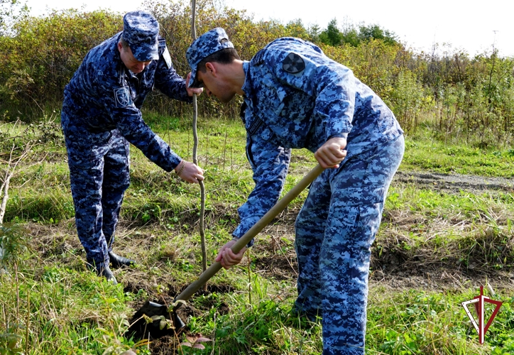 Росгвардейцы Сахалина поддержали Всероссийскую акцию «Лес Победы»