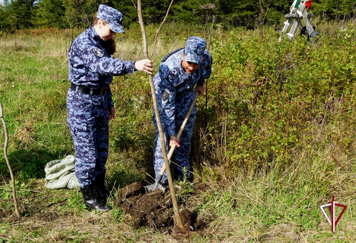 Росгвардейцы Сахалина поддержали Всероссийскую акцию «Лес Победы»