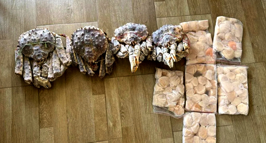 Сотрудники  СОБР «Редут»  регионального Управления Росгвардии  оказали содействие полиции в задержании браконьеров