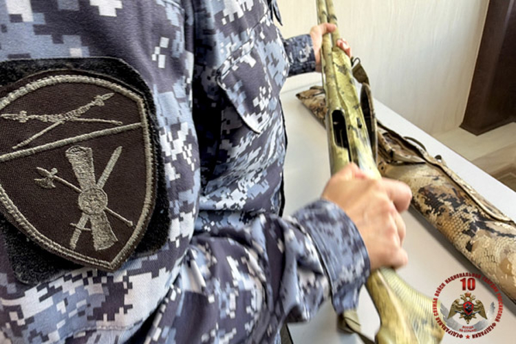 Контроль оружия на Сахалине: за неделю из оборота изъято 18 единиц оружия и 4 патрона