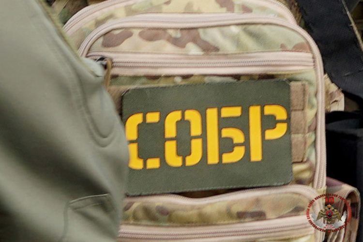 На Сахалине росгвардейцы принимают участие в оперативно-профилактической операции «Нелегал-2026»