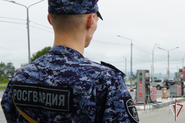 Сводка вневедомственной охраны за неделю