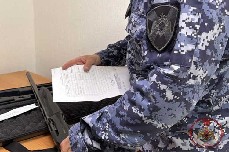 8 единиц огнестрельного оружия и 400 патронов изъяли росгвардейцы у нарушителей на Сахалине