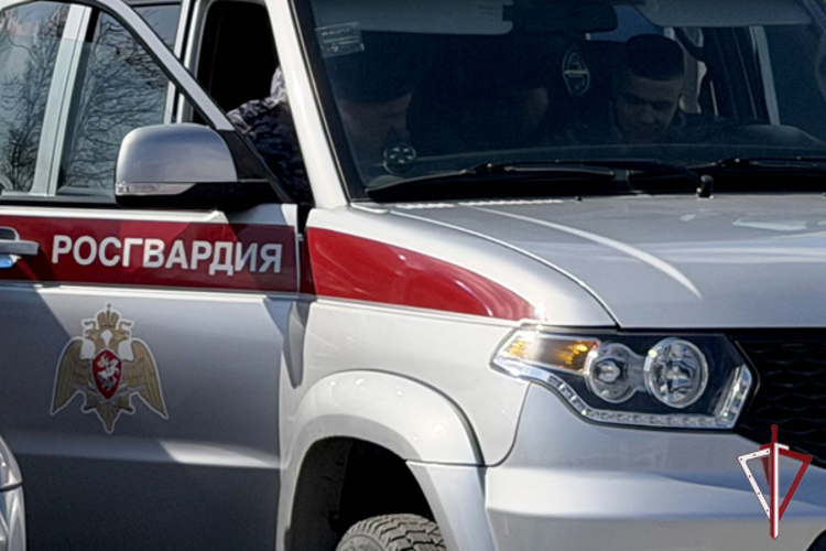 Сводка вневедомственной охраны за неделю