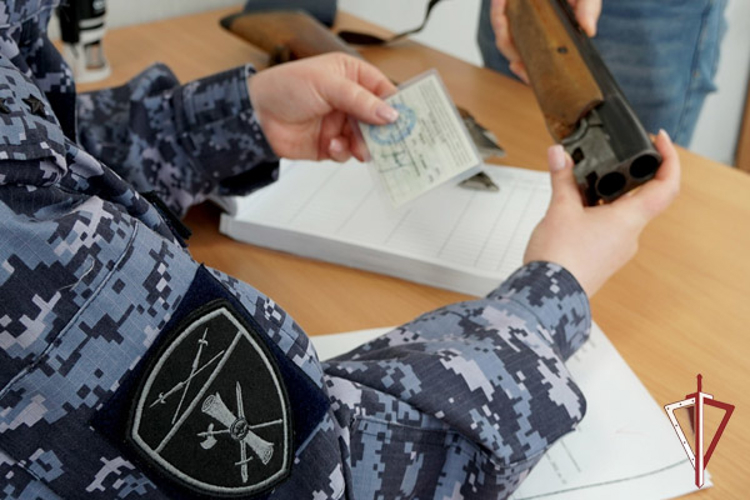 Росгвардейцы на Сахалине изъяли 12 единиц оружия за нарушения правил его оборота