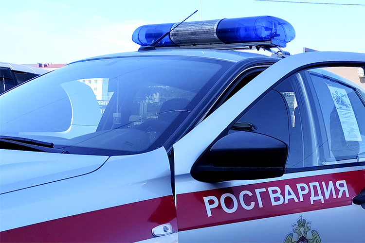 Более 90 выездов по сигналам «тревога» и 15 пресечённых правонарушений: итоги недели вневедомственной охраны на Сахалине