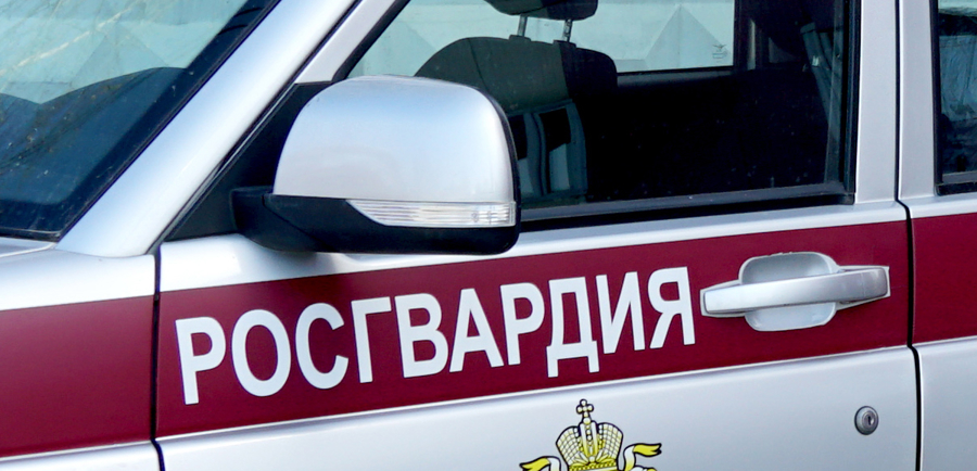 Сводка вневедомственной охраны за неделю