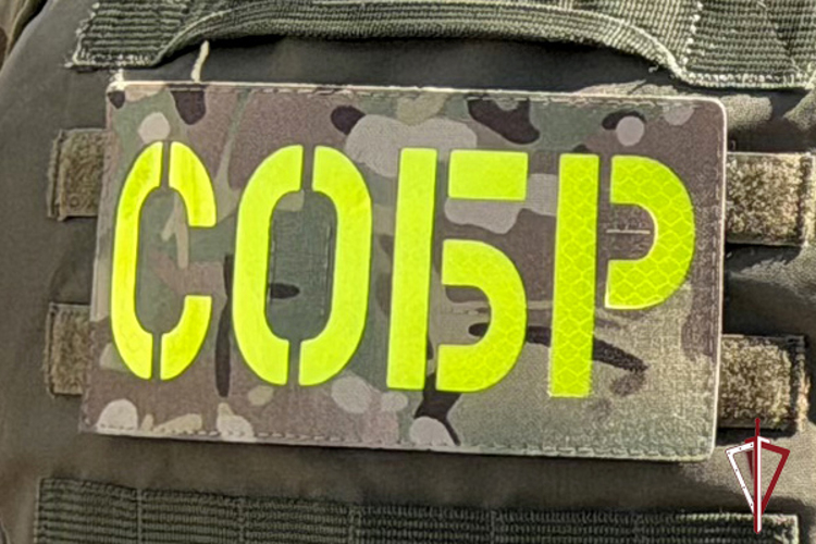 На Сахалине при силовой поддержке СОБР «Редут» пресечена попытка убийства мужчины с инвалидностью