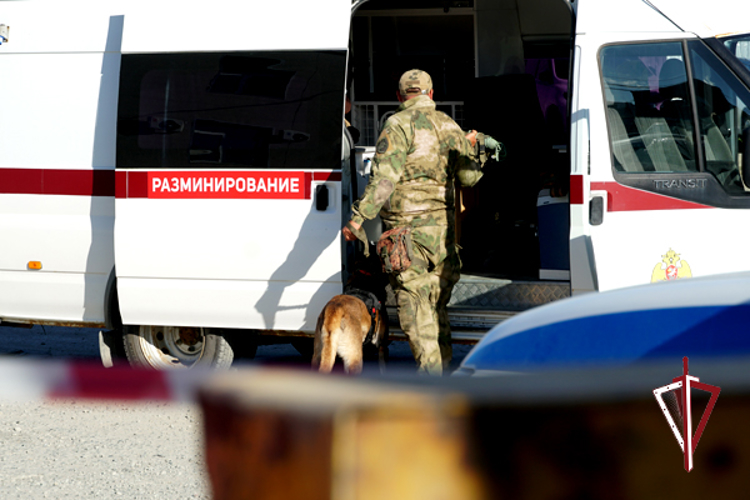 В Южно-Сахалинске взрывотехники ОМОН «Тайфун» обследовали противотанковую мину 